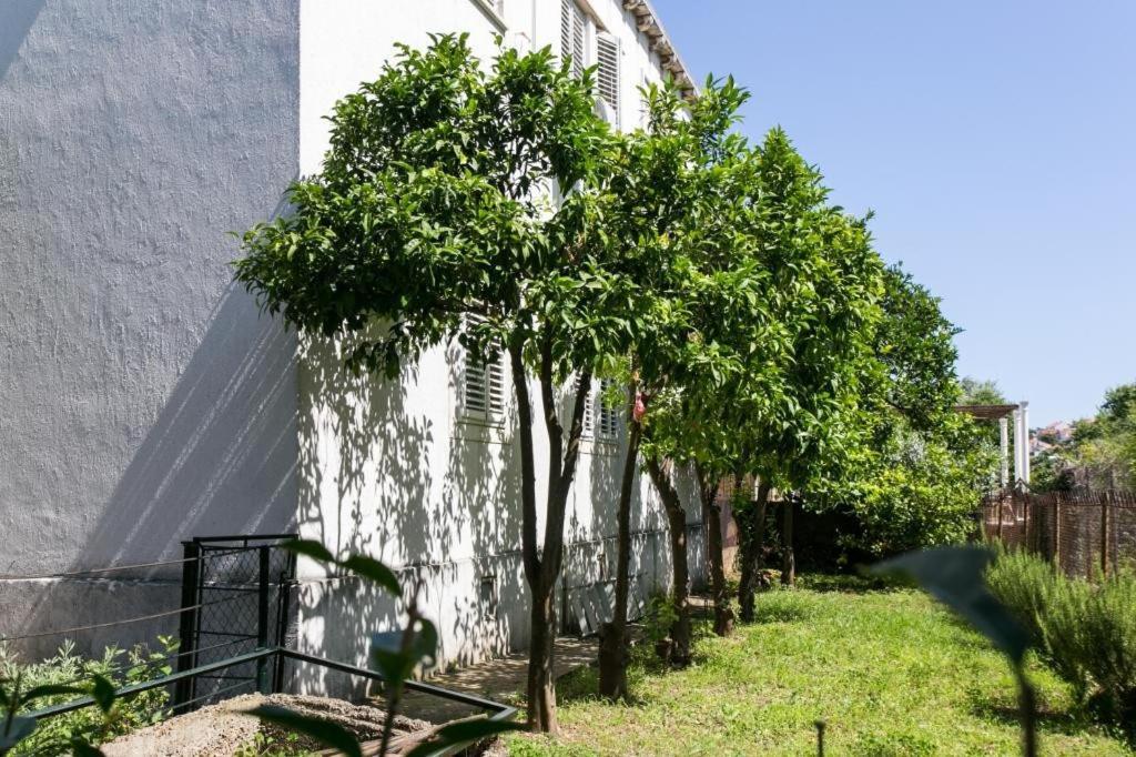 Apartment Blue & Green ดูบรอฟนิก ภายนอก รูปภาพ